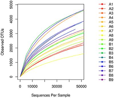 Comparisons Between Bacterial Communities in Mucosa in Patients With Gastric Antrum Ulcer and a Duodenal Ulcer